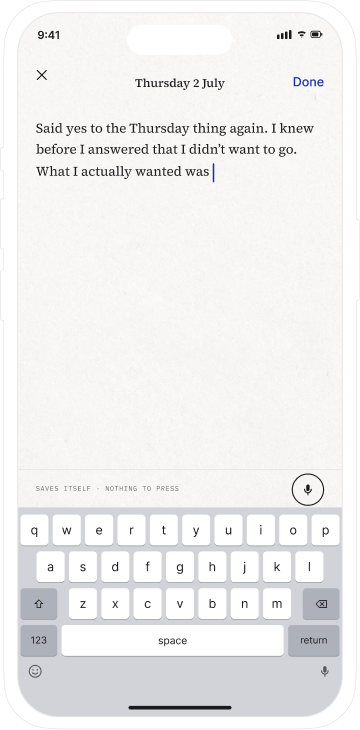 Writing an entry in Pausa with the cursor already in the composer